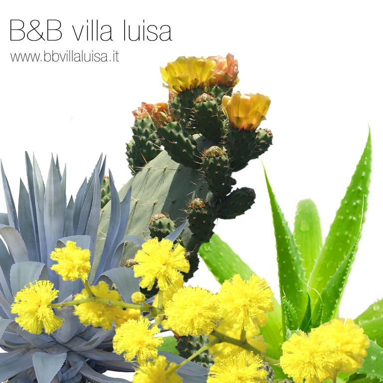B&B Villa Luisa Казарца-Лігуре Екстер'єр фото